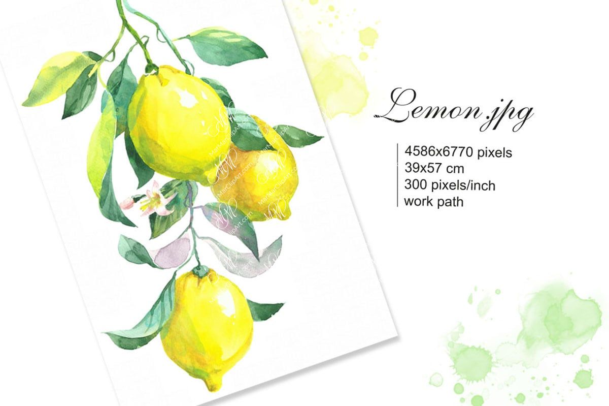 Lemon watercolor