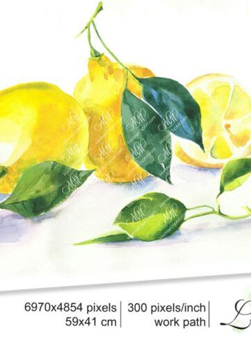 Lemon watercolor