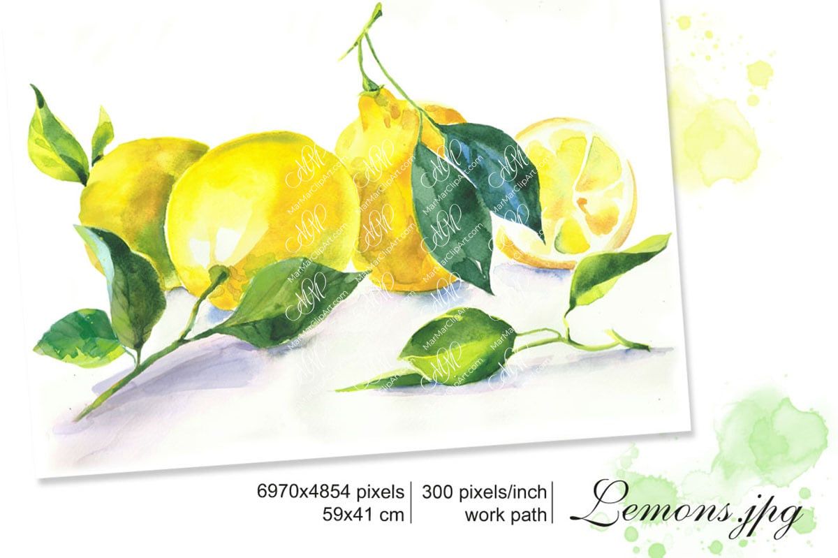 Lemon watercolor