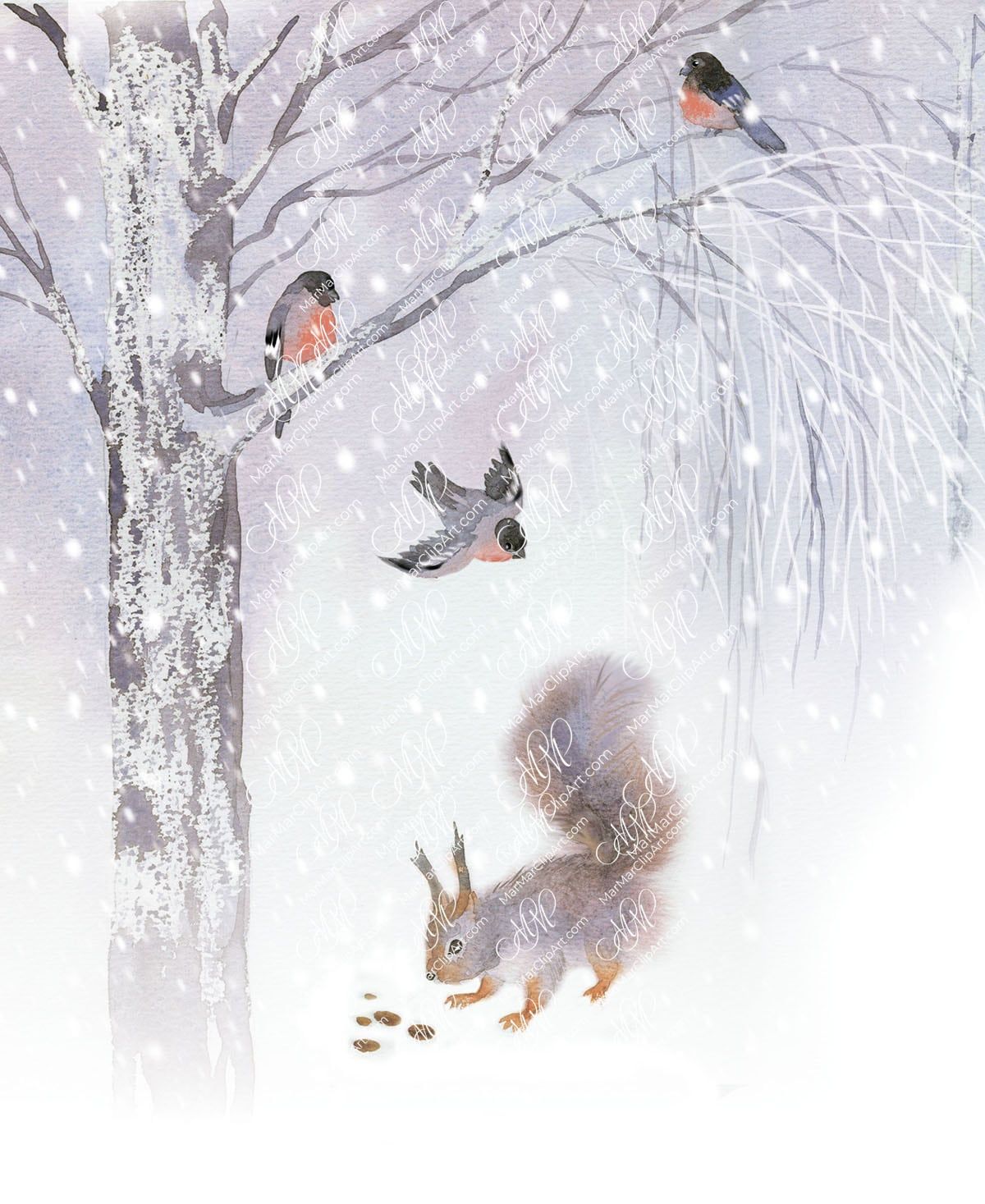 Winter time bullfinches and squirrel in winter forest. Watercolor illustration