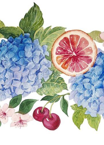 Hydrangea, red oranges and cherries. Watercolour clipart, printable file