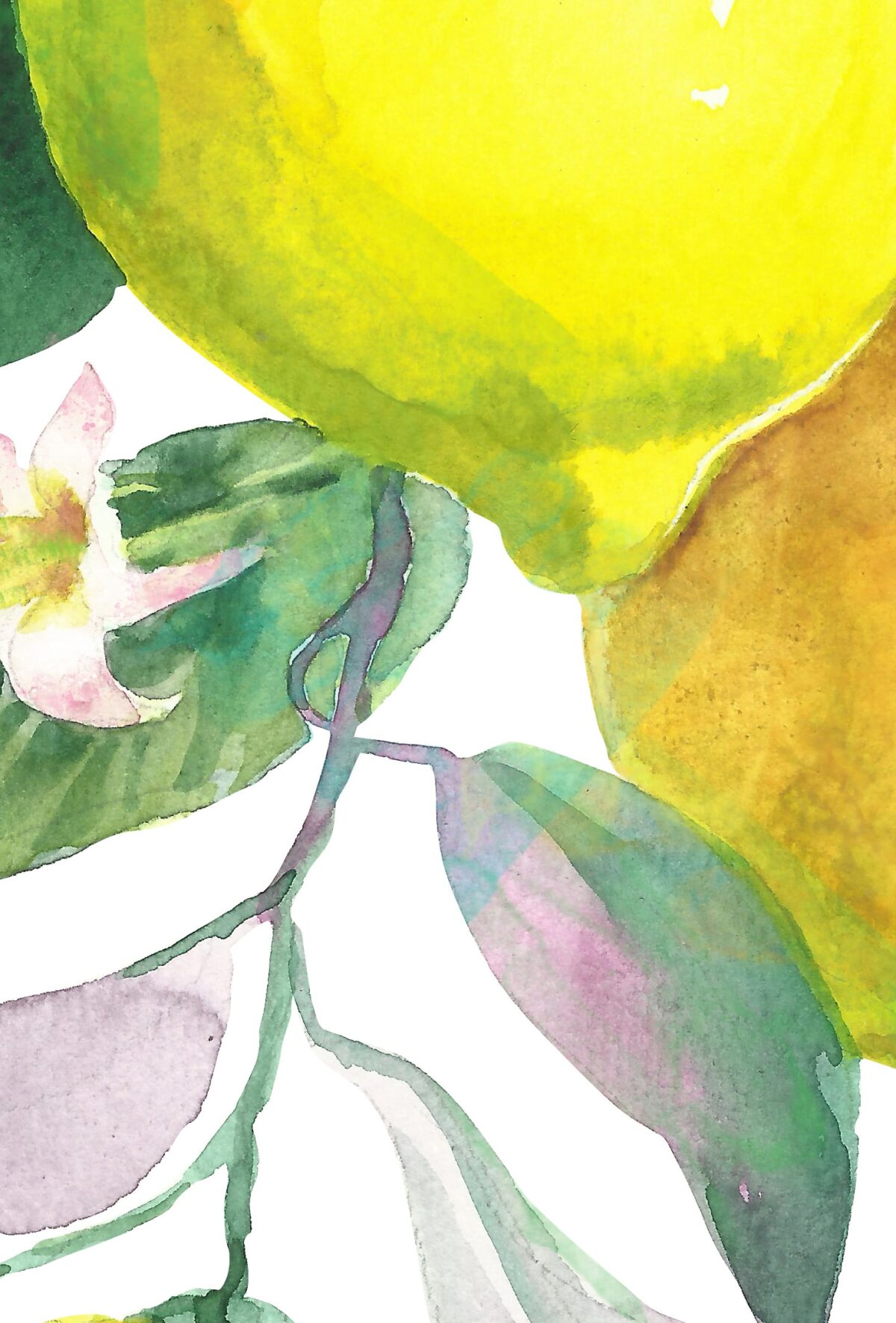 Lemons with leaves. Watercolor, printable file