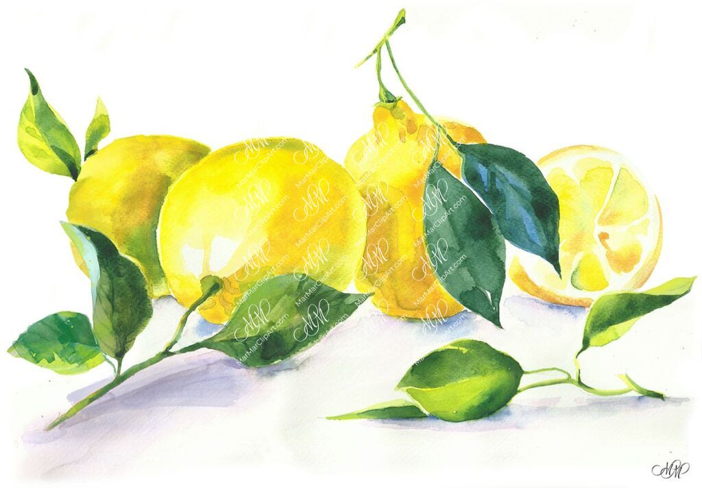 Watercolor art Lemons with leaves • MarMarClipArt