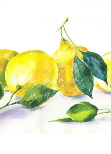 Lemons. Watercolor Wall art. kitchen decor