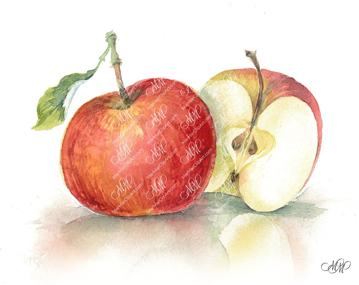 Apple. Isolated on white background with work path. Watercolor. 38x30 cm.  mela2.jpg 7Mb. RGB. 300 px. Instant download.