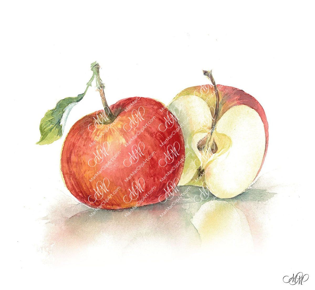 Apple. Isolated on white background with work path. Watercolor. 38x30 cm.  mela2.jpg 7Mb. RGB. 300 px. Instant download.
