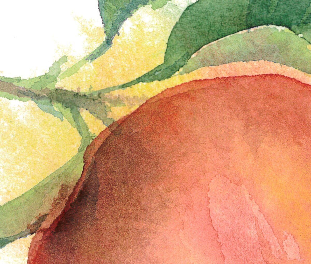 Red apple. Watercolor clipart, printable file