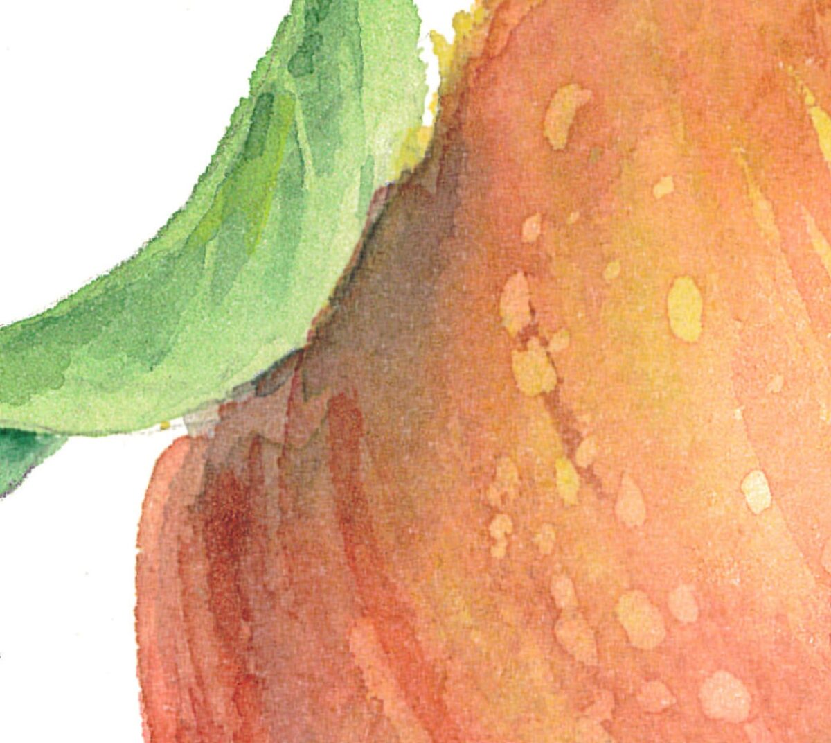 Branch apple. Watercolor clipart, printable file