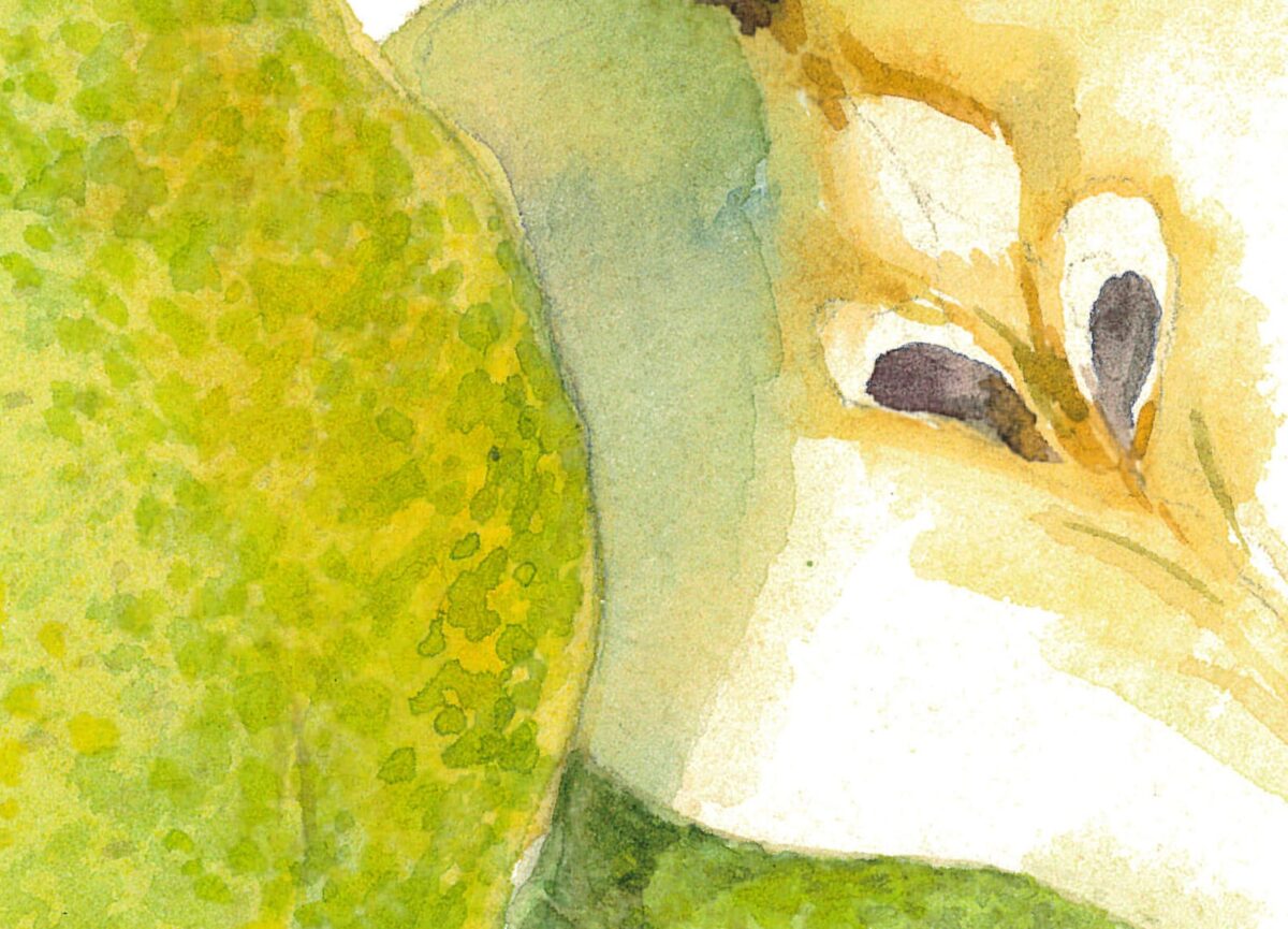 Pear green fragment. Watercolor botanical clipart