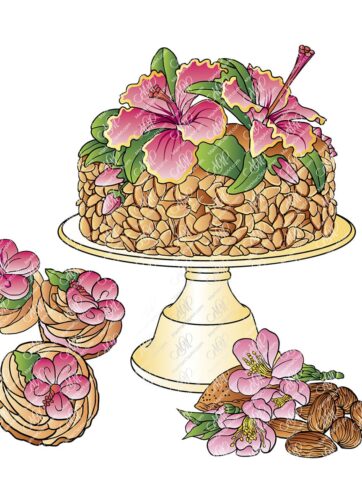 Almond cake and almonds. Vector printable file, can be used for cards, invitations, for your design work