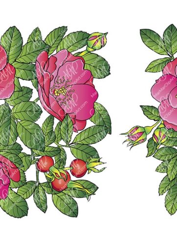 Rosehip flowers and berries. Vector printable file, can be used for cards, invitations, for your design work