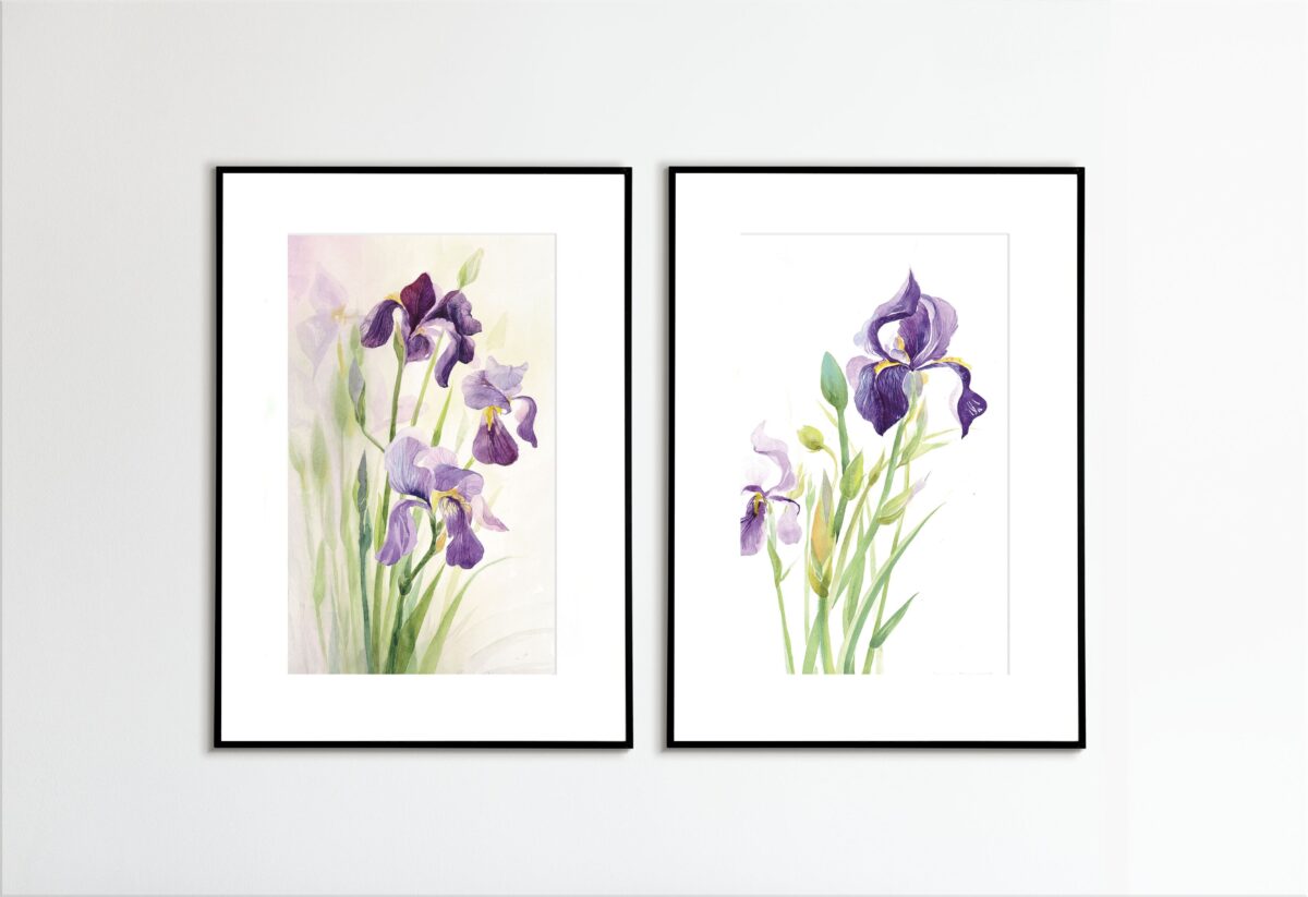 Framed flower watercolor Iris