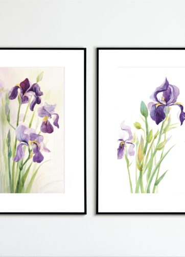Framed flower watercolor Iris