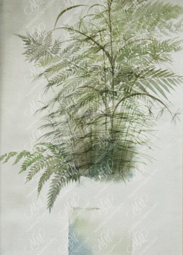 Watercolor "bouquet of ferns"