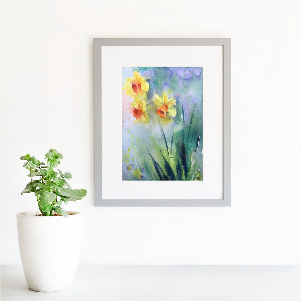 Framed watercolor sketch Narcissus