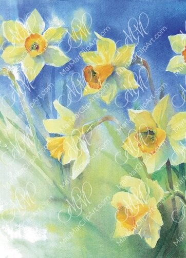Watercolor flower painting spring Narcissus