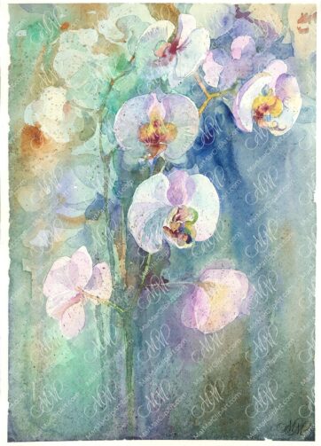Watercolor painting White orchids