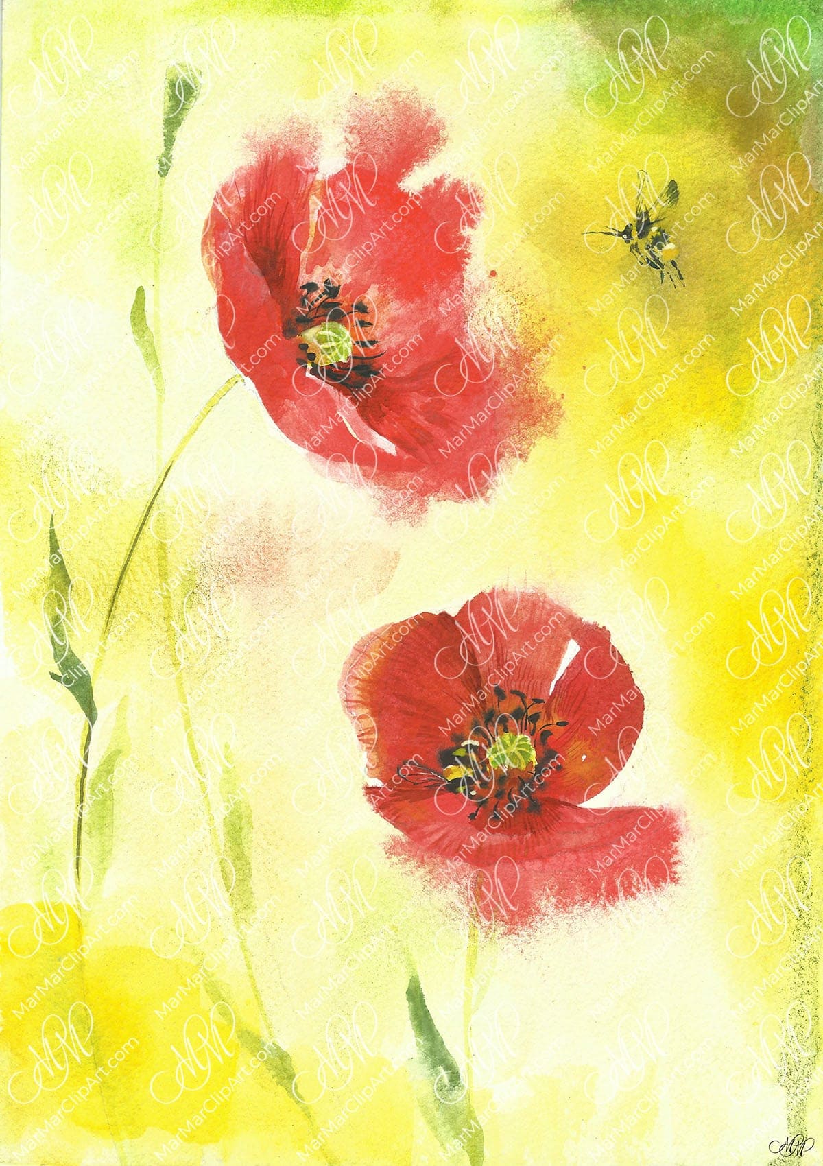 Watercolor "Poppies and the bee"