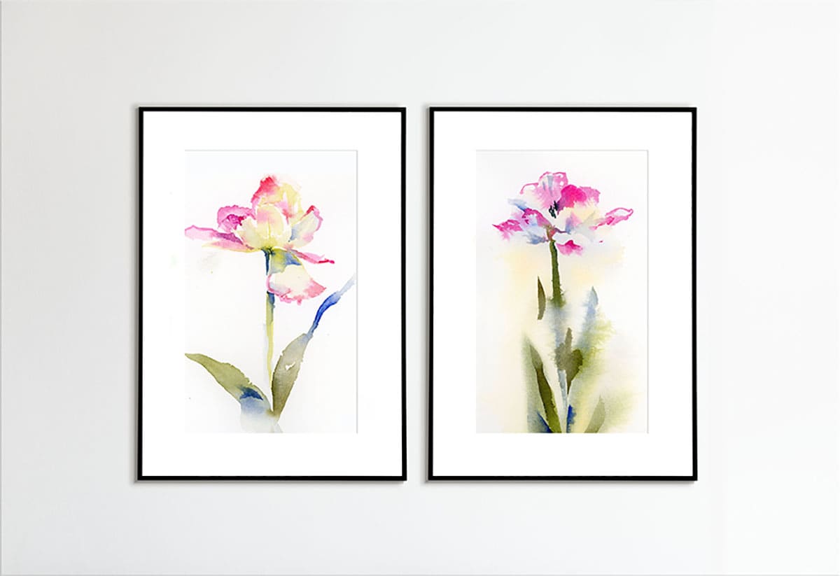 framed watercolor pink tulips