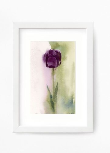 Watercolor Black tulip framed