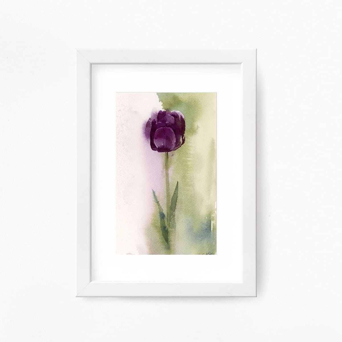 Watercolor Black tulip framed