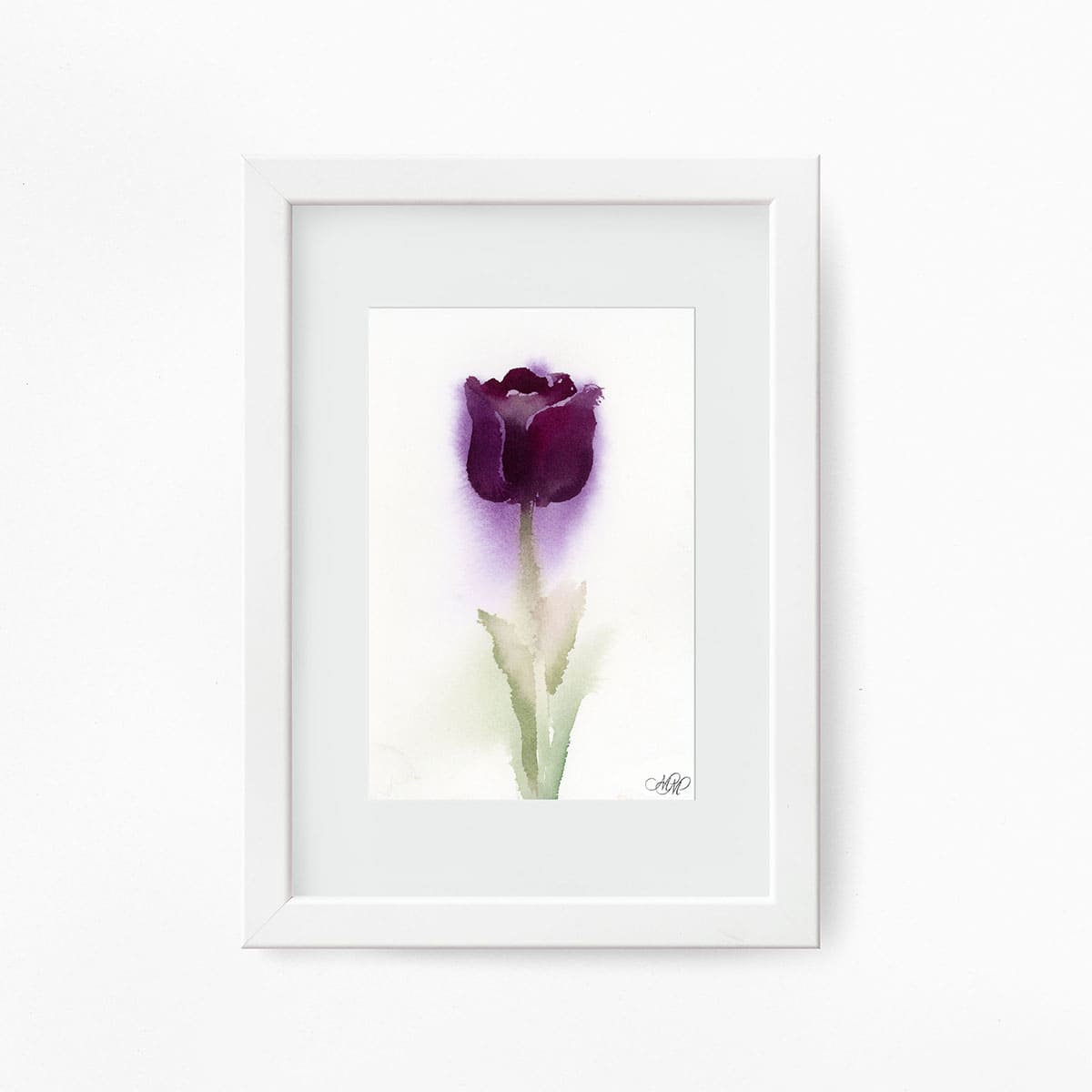 Watercolor Velvet tulip framed