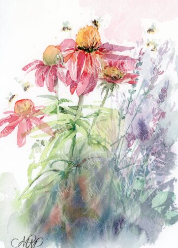 Watercolor Coneflowers