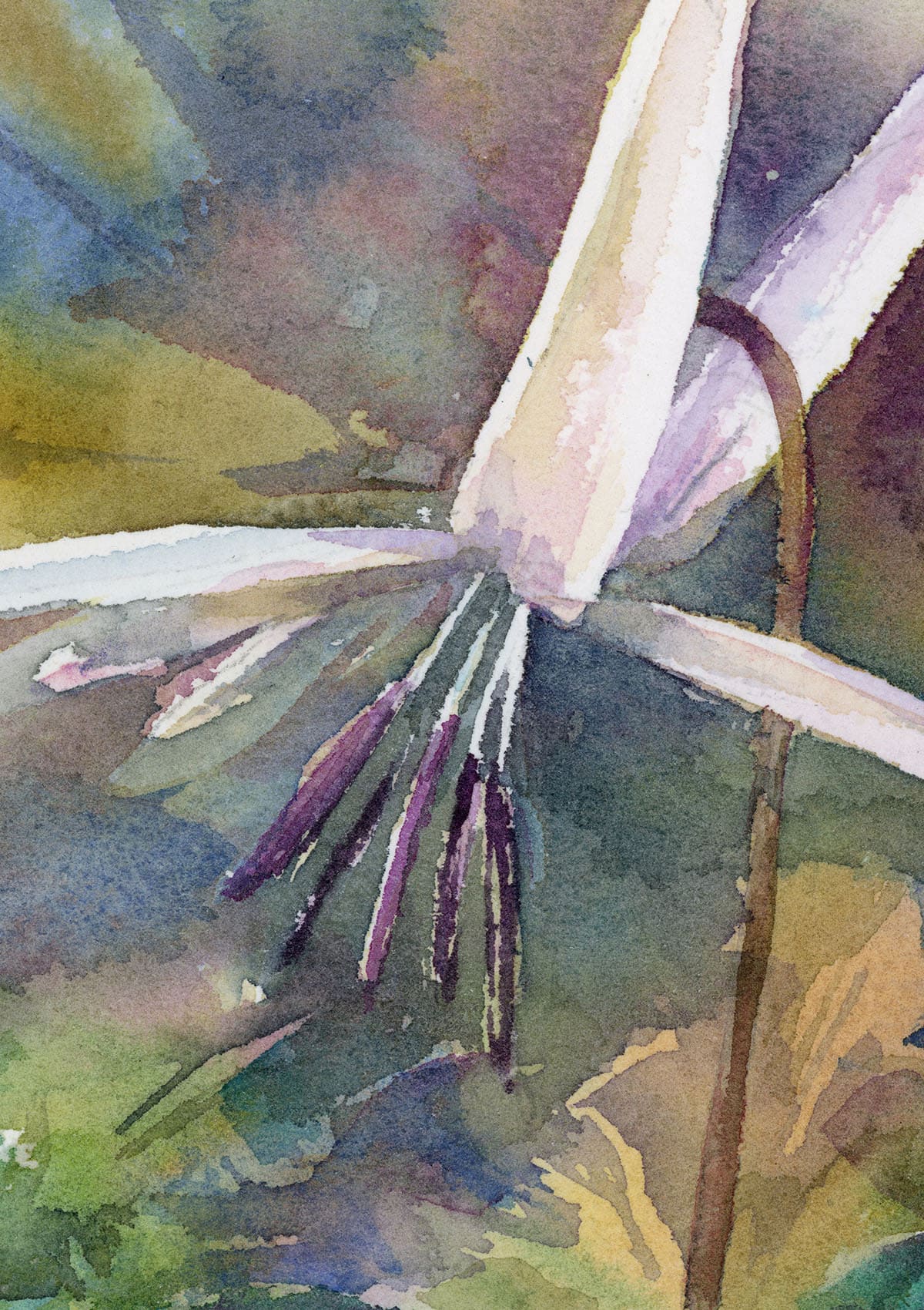 Watercolor Spring wild flowers fragment