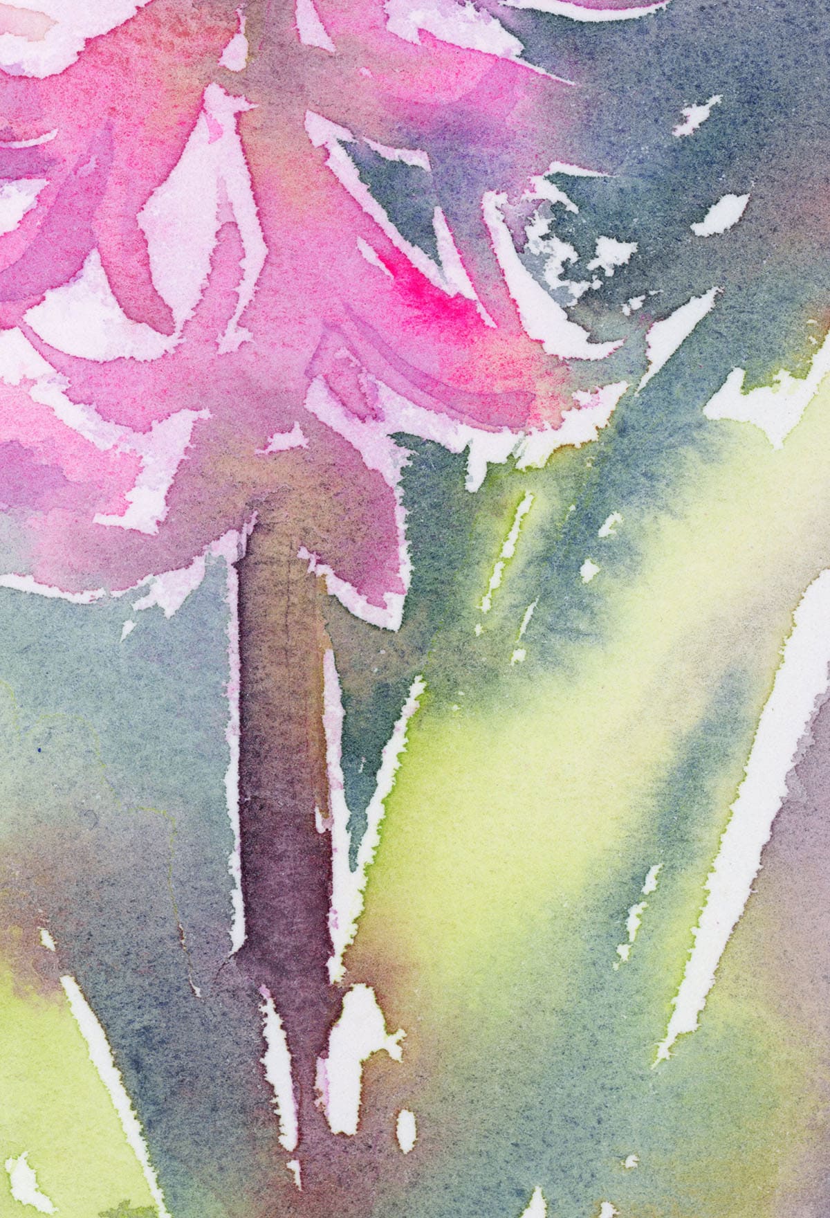 Fragment of watercolor Spring Hyacinth