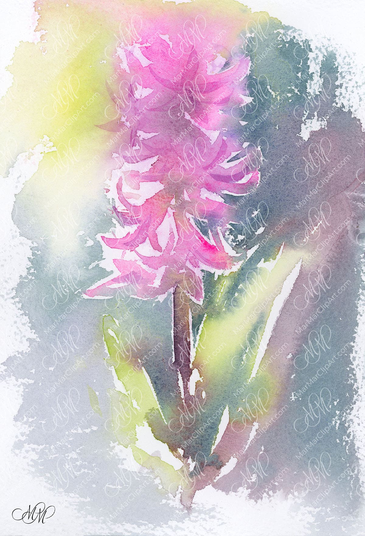 Watercolor sketch Spring Hyacinth