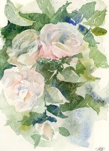 Flower watercolor Tea Roses