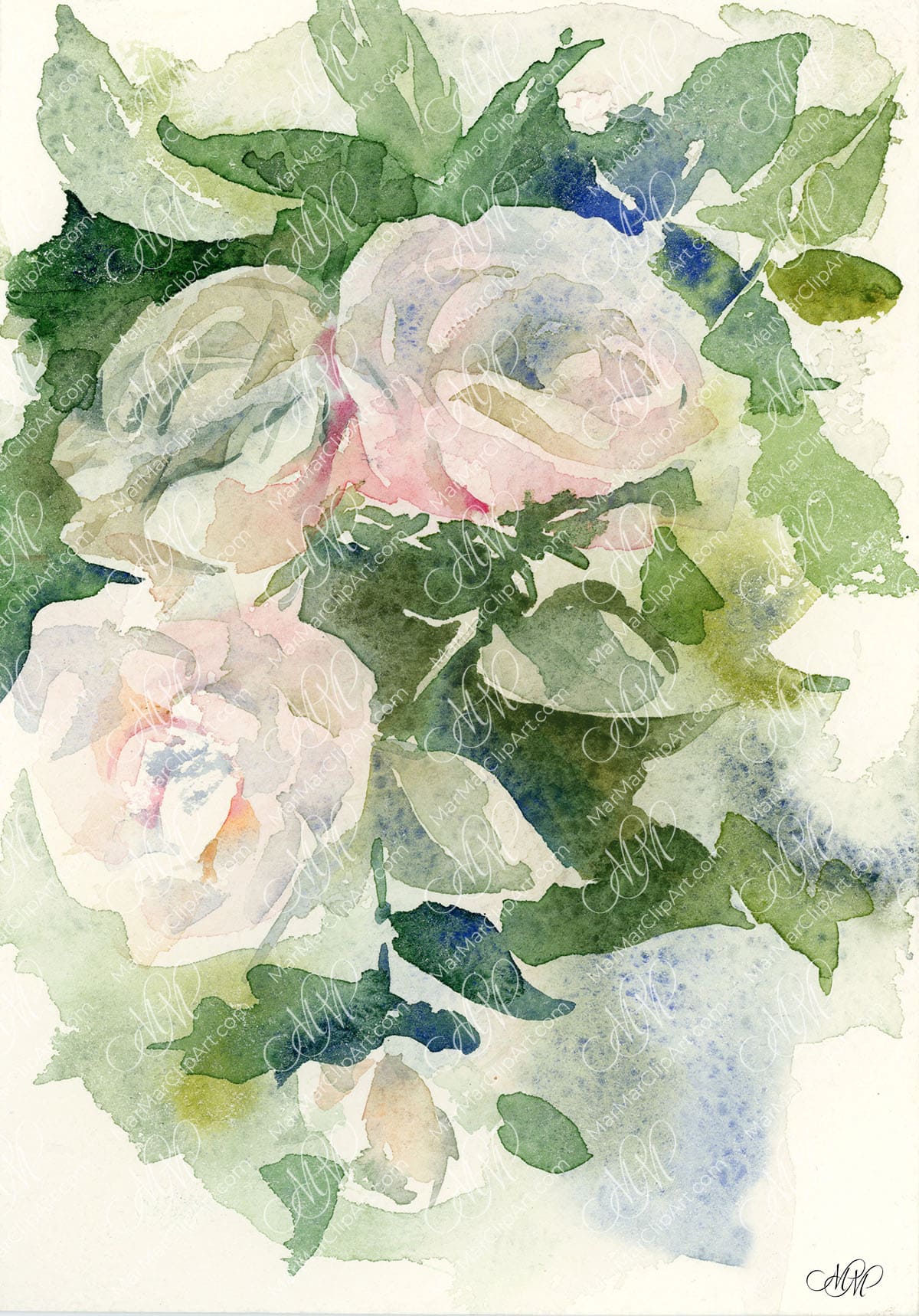 Flower watercolor Tea Roses