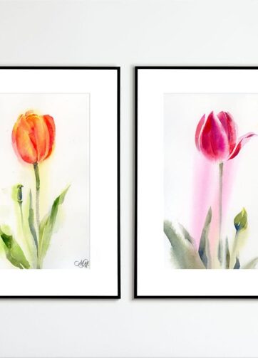 Flower watercolor Tulips framed
