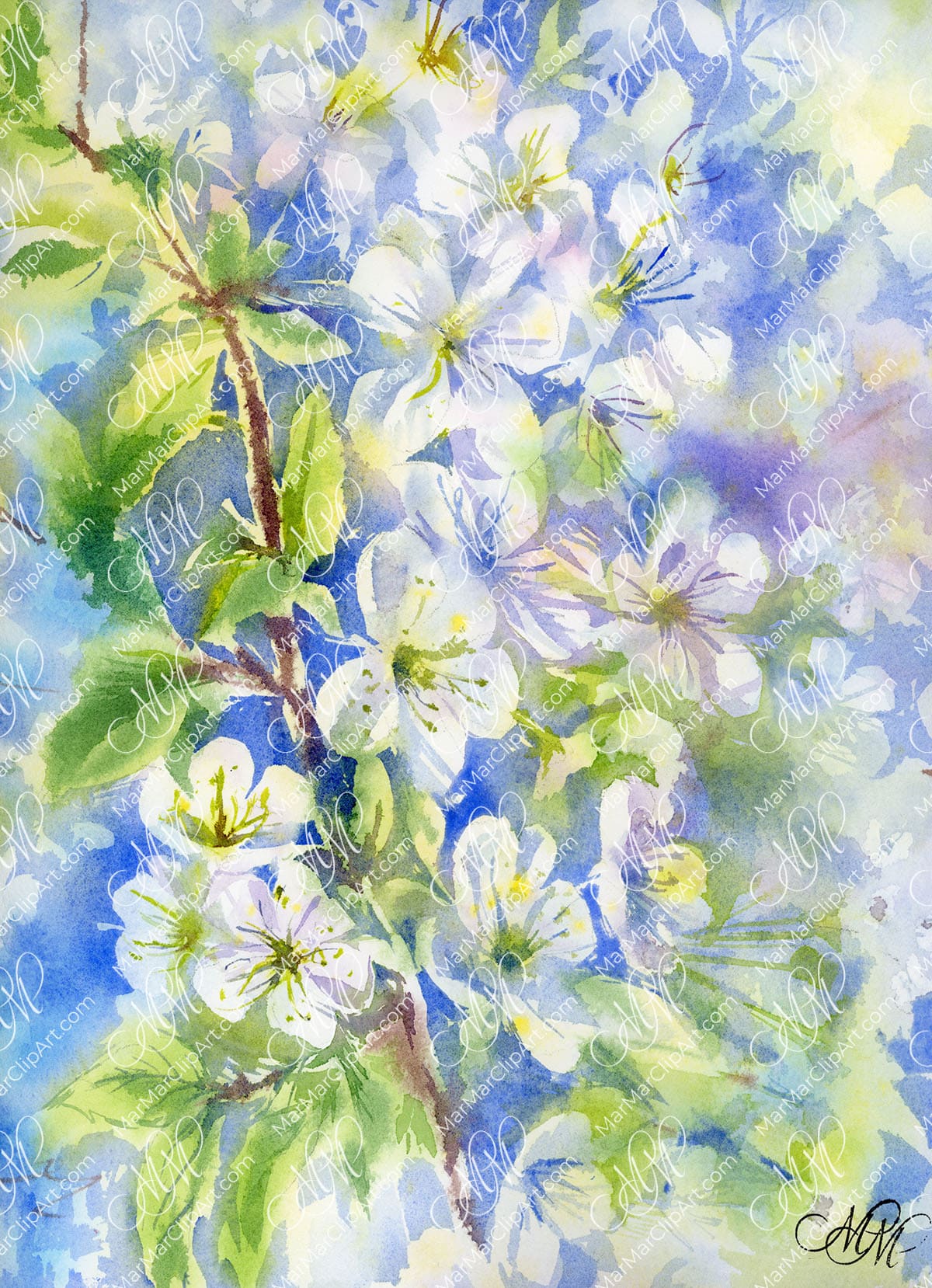 Watercolor painting Blooming apple tree