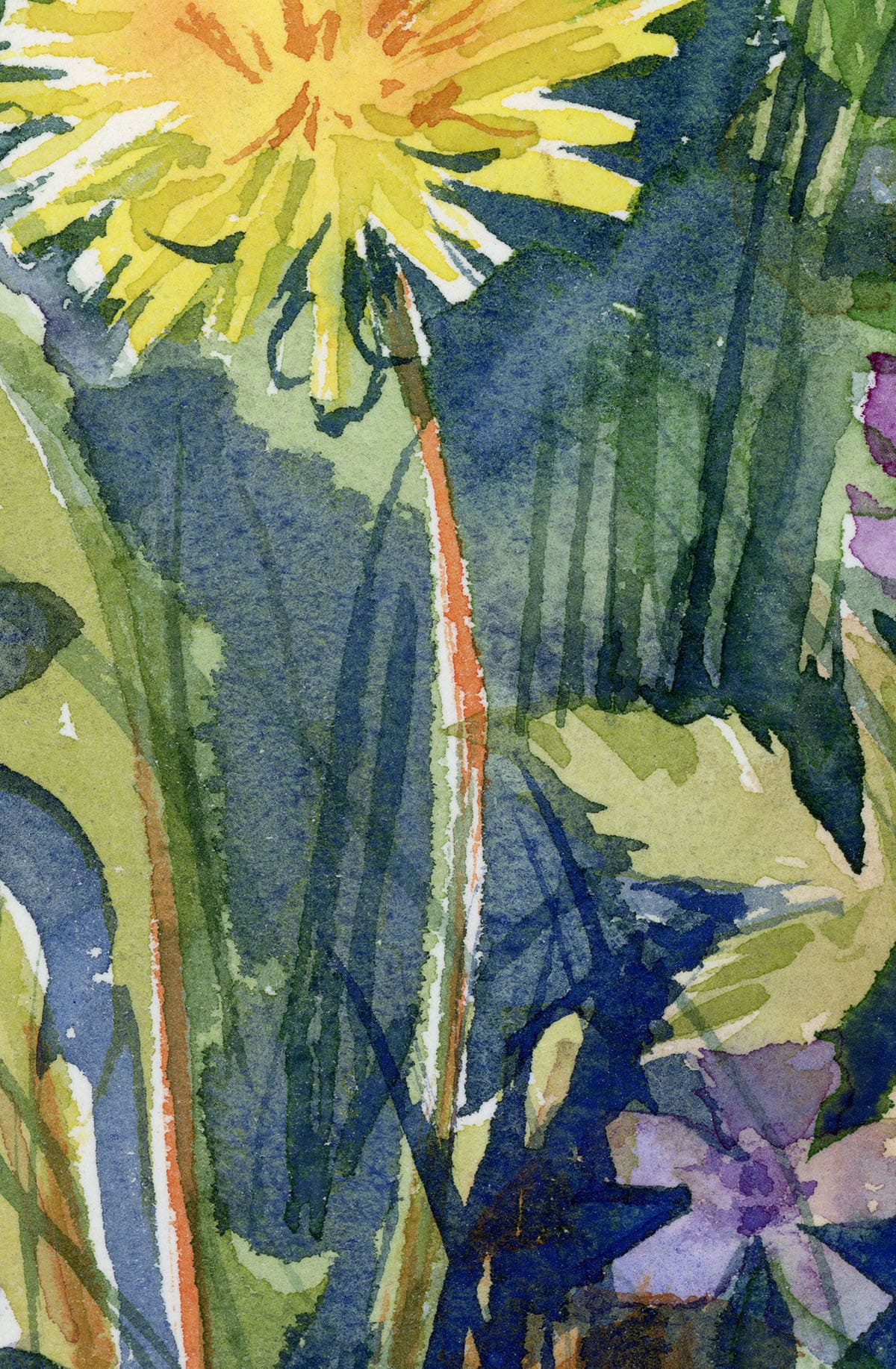 Fragment of watercolor Dandelion and wildflowers