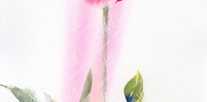 Pink Tulip Watercolor Printable | Elegant Floral Botanical Wall Art