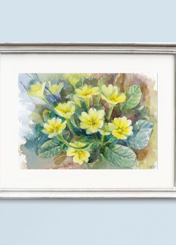 Framed Watercolor Spring wildflowers Primrose