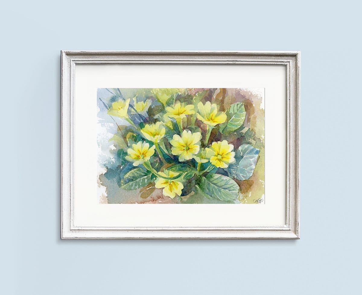 Framed Watercolor Spring wildflowers Primrose