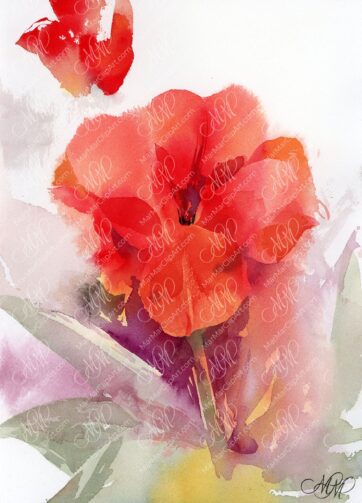 Watercolor flower painting Red Tulip