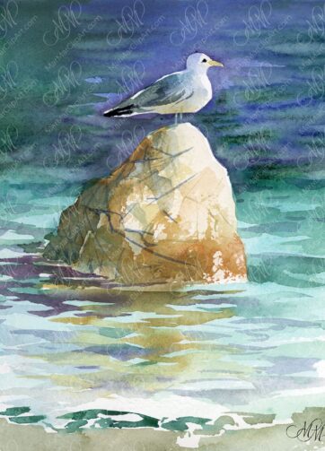 Watercolor sketch Sea gull