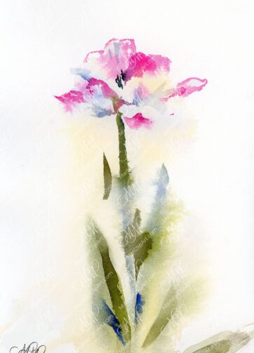 flower watercolor pink yellow tulip