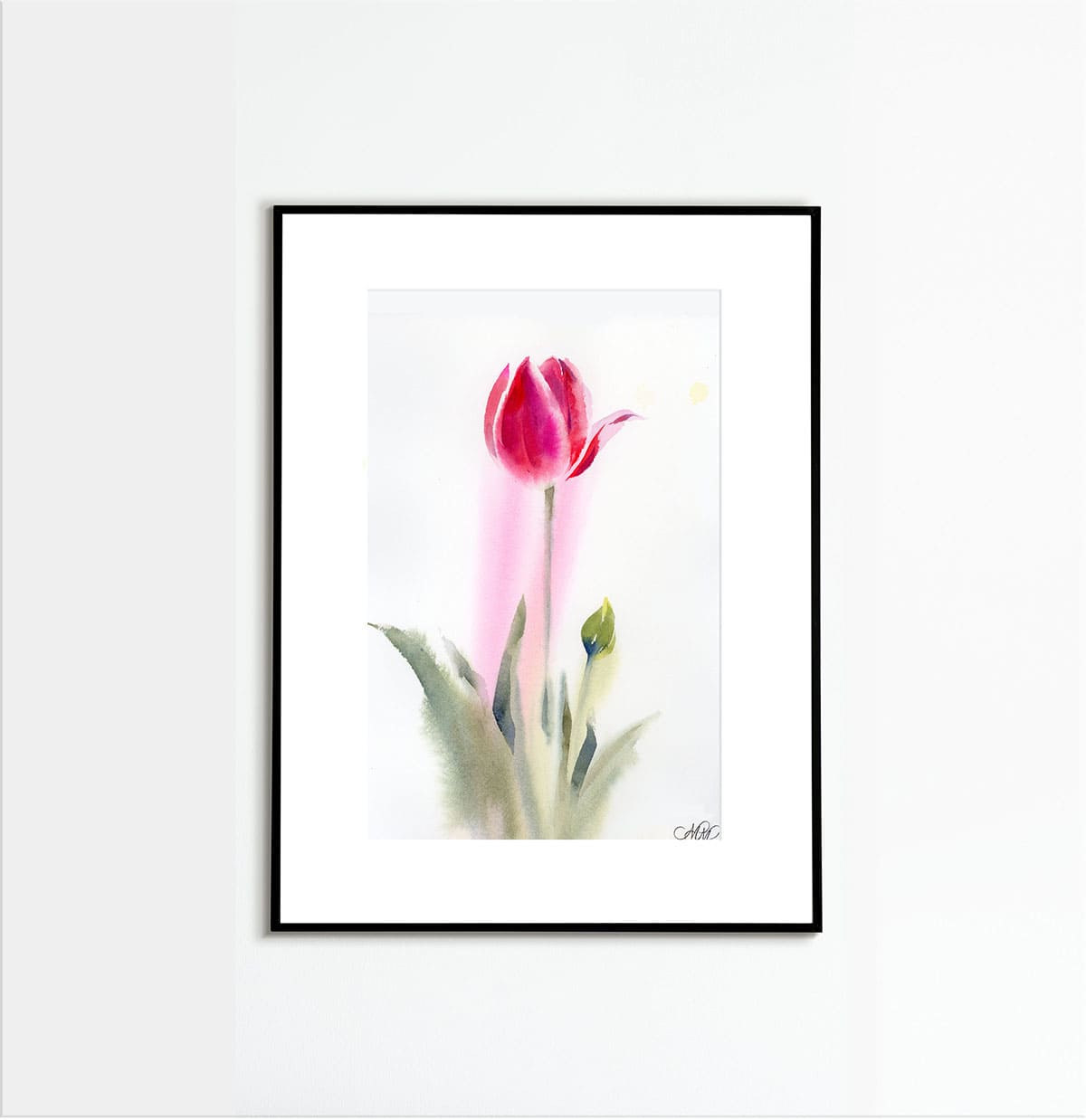 watercolor pink tulip framed