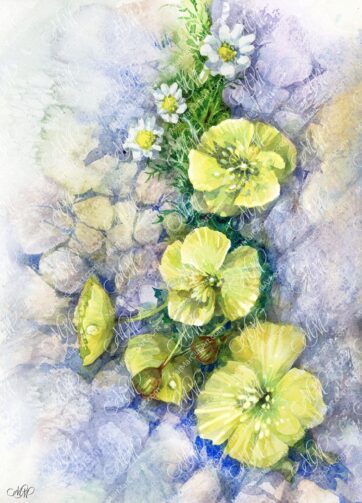 Watercolor Mountain Yellow Poppies