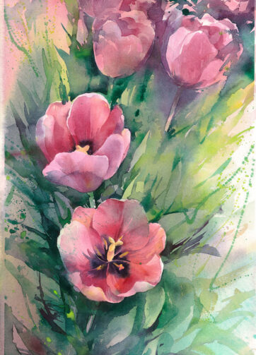 Watercolor floral pink tulips