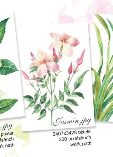 Set of watercolor botanical illustrations