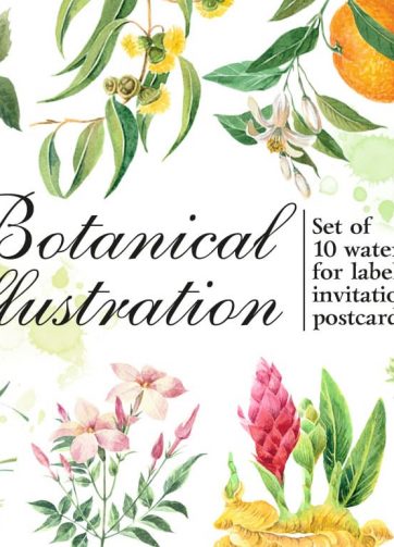 Set of watercolor botanical illustrations