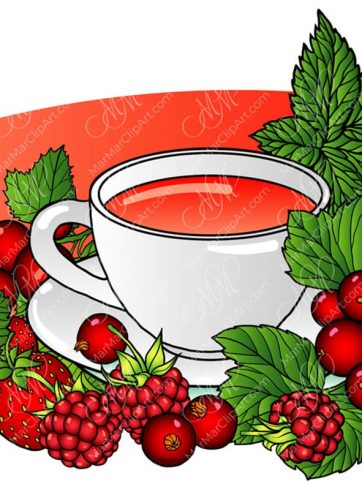 Vector food illustration Berry tea with red berries: strawberries, raspberries and red currants