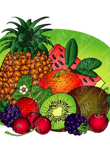 Vector illustrations Fruit assorted