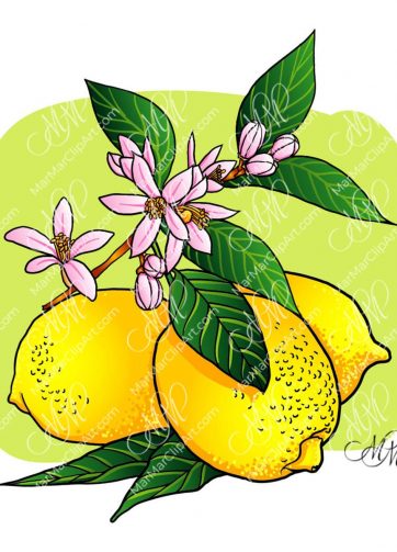 Lemon with leaves and flowers vector illustration