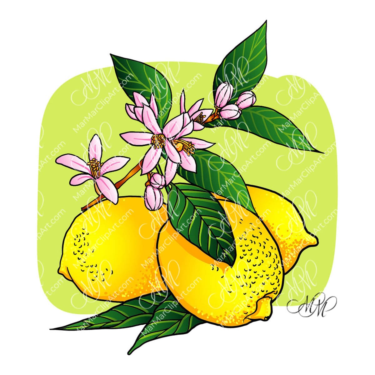 Lemon with leaves and flowers vector illustration
